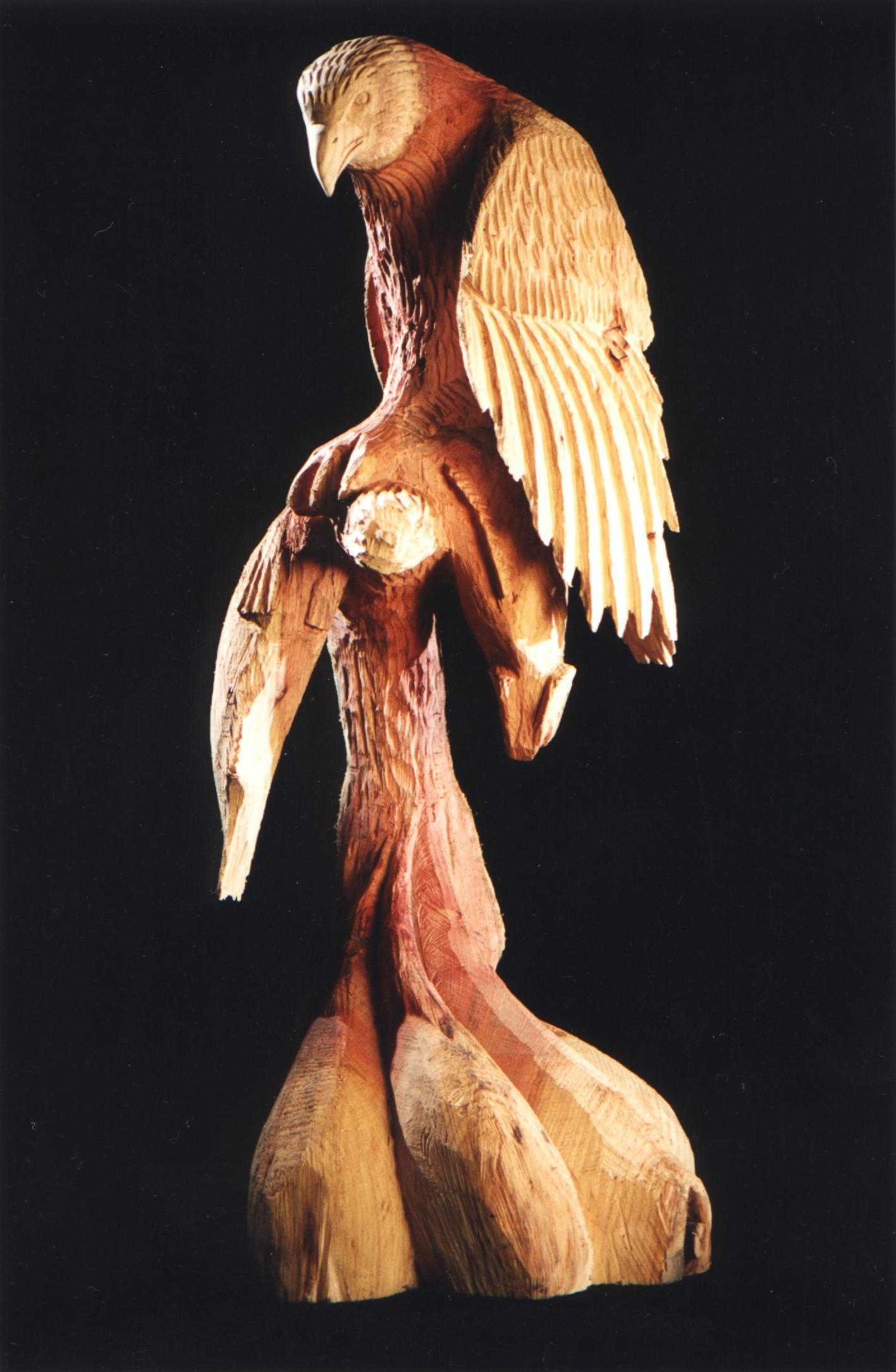 Aigle pecheur
